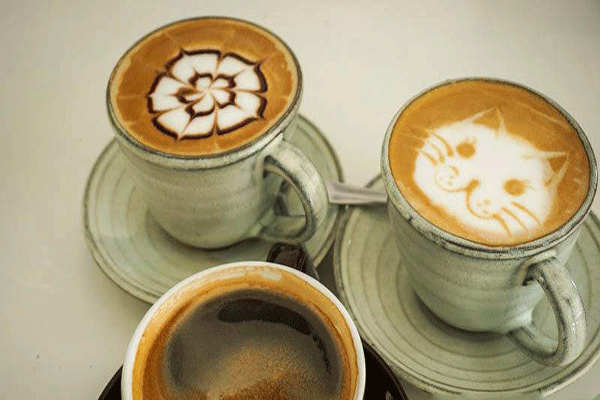 猫窝咖啡怎么加盟