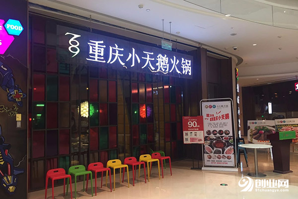 重庆小天鹅火锅开店需要多少钱?预算非常少