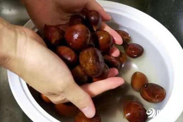 三必栗子总部在哪里?加盟怎么样?