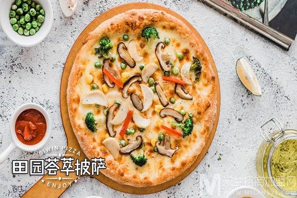食七乐披萨加盟