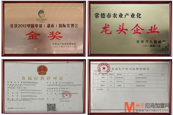 新金泰食品加盟