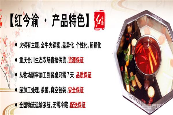 红今渝火锅加盟