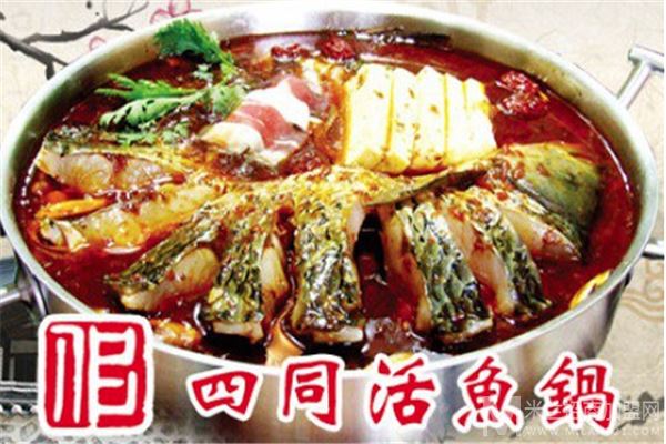 四同活鱼锅加盟