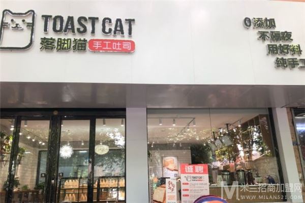 TOAST CAT落脚猫手工吐司加盟