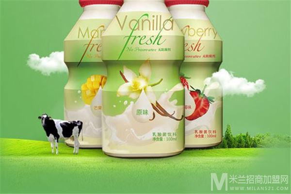 界界乐乳饮品加盟