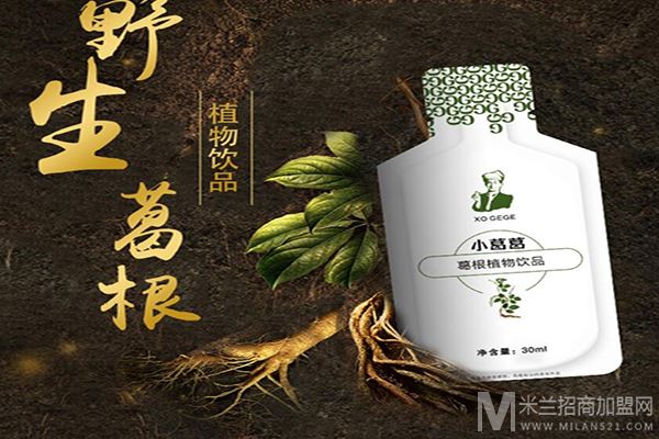 小葛葛植物饮料加盟