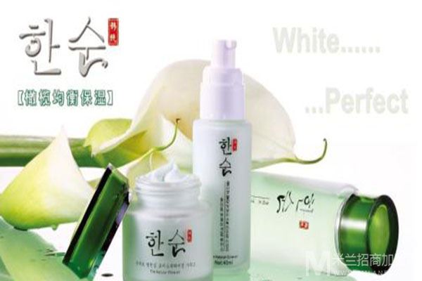 韩国清淡护肤加盟