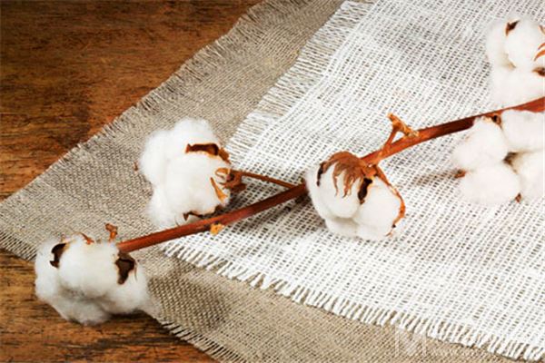 两宜织造棉品加盟