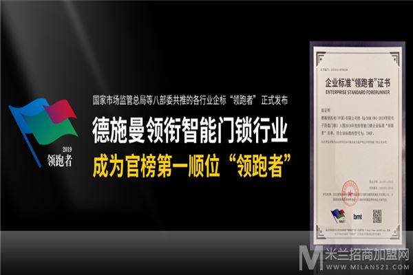 德施曼智能锁加盟
