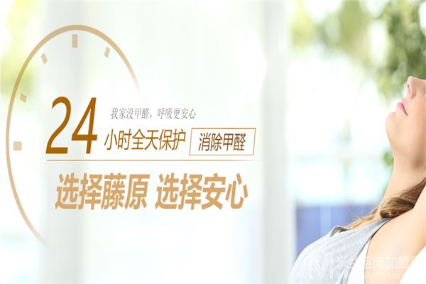 藤原硅藻泥加盟