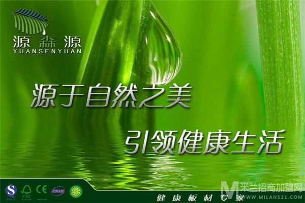 源森源加盟