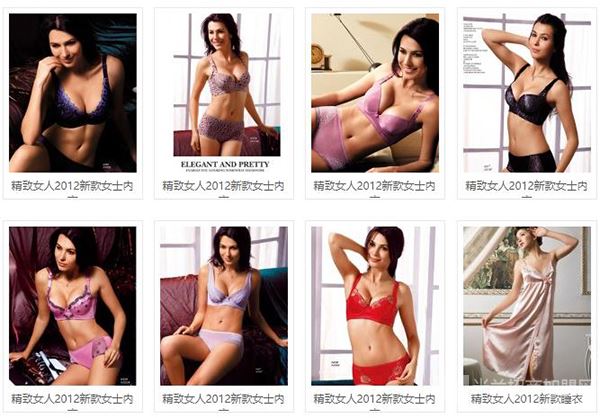精致女人内衣加盟