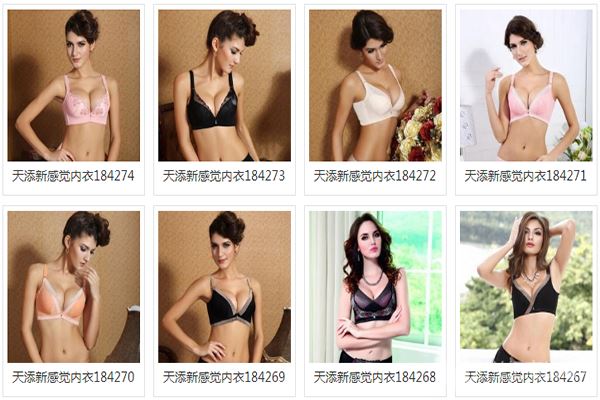 天添新感觉内衣加盟