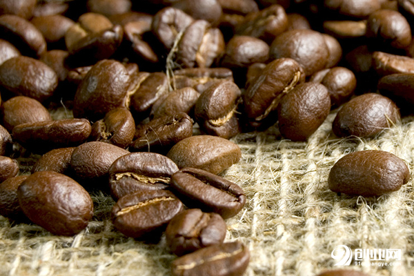 HOSFAIR咖啡加盟条件