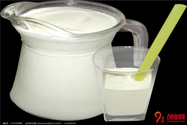 波姆树冻酸奶加盟流程
