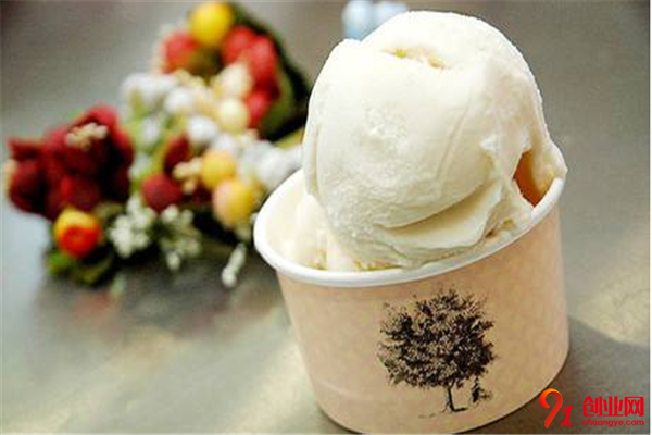 帝娜朵拉意大利手工冰淇淋加盟条件