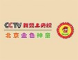 金色神童少儿口才