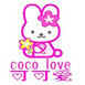 cocolove手工巧克力