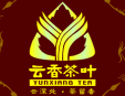 云香茶业