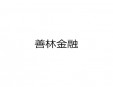 善林金融