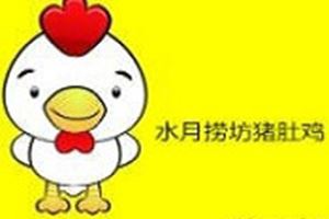 水月捞坊猪肚鸡火锅加盟