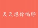 天天想你鸭脖加盟