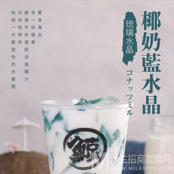 琉璃鲸奶茶加盟