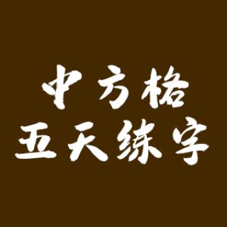 中方格五天练字