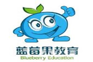 蓝莓果学前班幼儿园