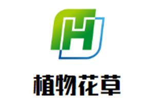 植物花草启蒙教育玩具