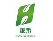 家禾家政月嫂