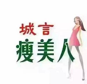 城言瘦美人