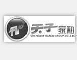 天子真皮沙发
