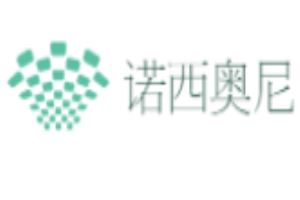 诺西奥尼灯饰