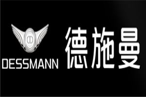 德施曼智能锁