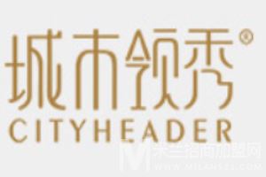 城市领秀集成墙面