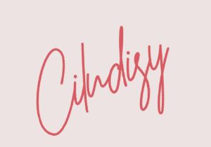 Cilndisy箱包